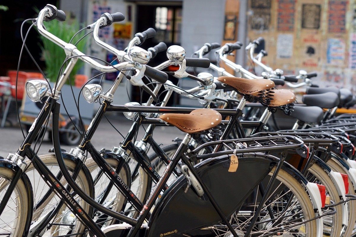 Plegables, eléctricas, de montaña...Una bicicleta para cada estilo de vida