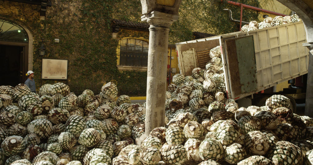 ¿Autopartes con sabor a tequila?